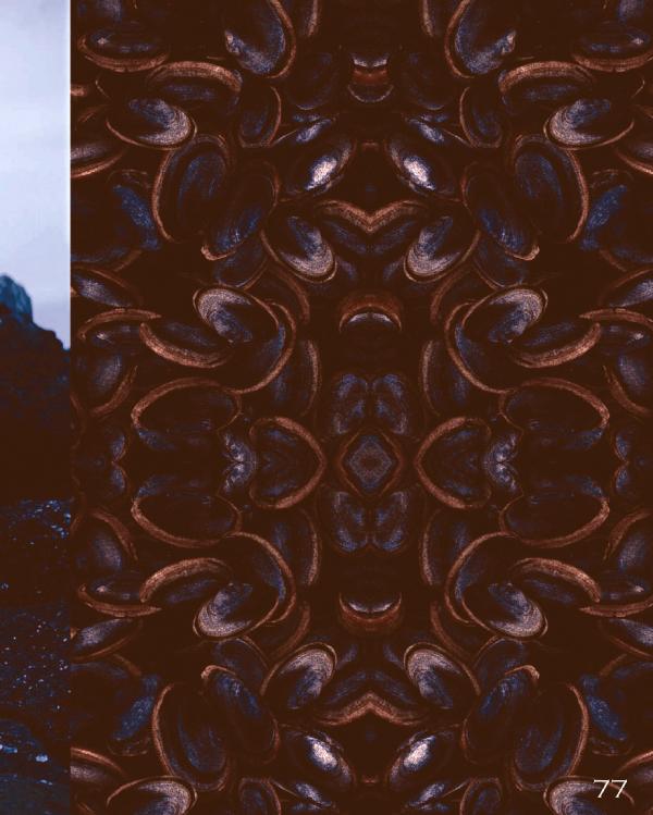 Homme-6-精壯美男魚